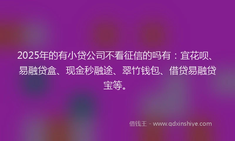 2025年的有小贷公司不看征信的吗有：宜花呗、易融贷盒、现金秒融途、翠竹钱包、借贷易融贷宝等。