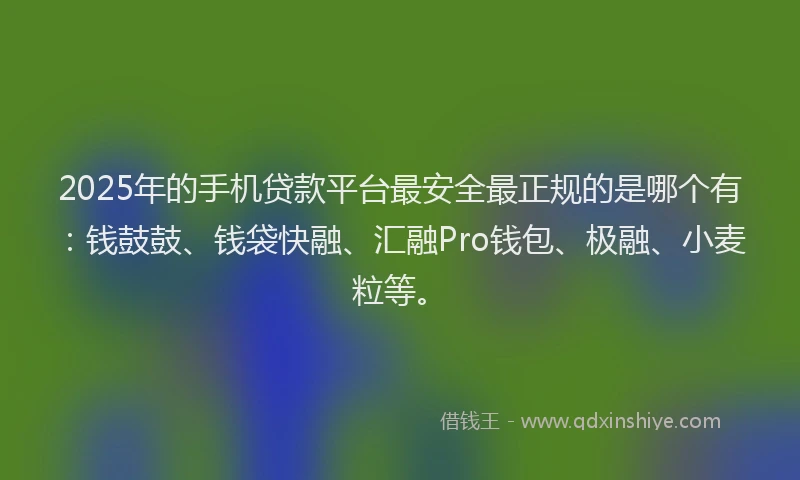 2025年的手机贷款平台最安全最正规的是哪个有：钱鼓鼓、钱袋快融、汇融Pro钱包、极融、小麦粒等。