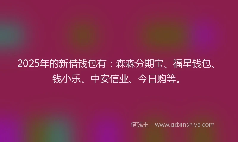 2025年的新借钱包有：森森分期宝、福星钱包、钱小乐、中安信业、今日购等。