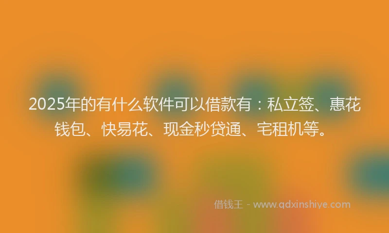2025年的有什么软件可以借款有：私立签、惠花钱包、快易花、现金秒贷通、宅租机等。