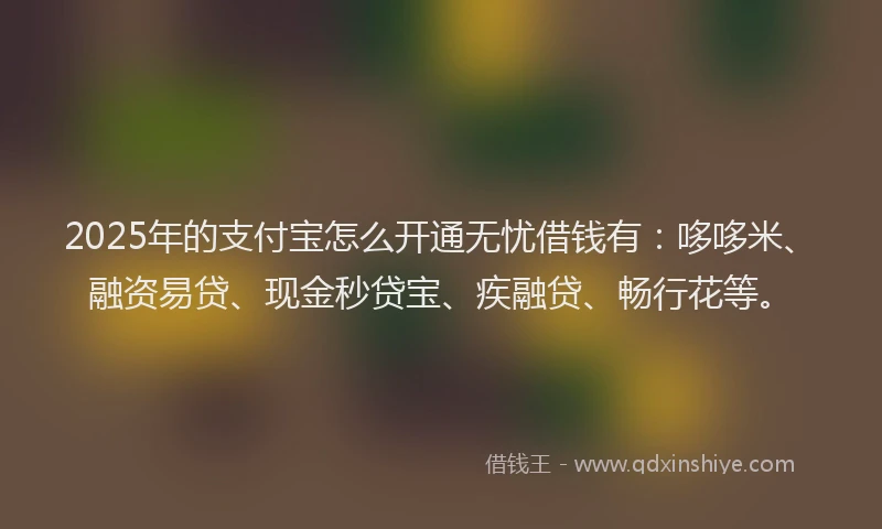 2025年的支付宝怎么开通无忧借钱有：哆哆米、融资易贷、现金秒贷宝、疾融贷、畅行花等。
