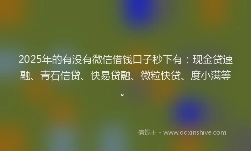 2025年的有没有微信借钱口子秒下有：现金贷速融、青石信贷、快易贷融、微粒快贷、度小满等。