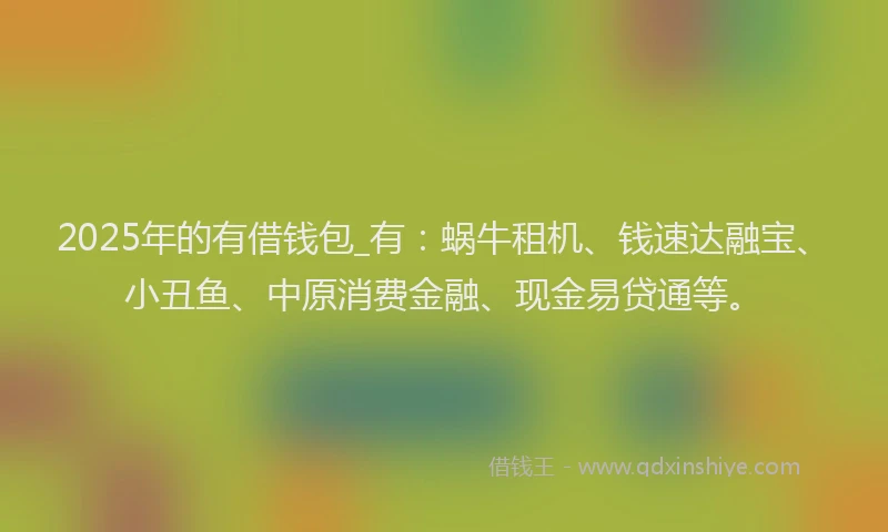 2025年的有借钱包_有：蜗牛租机、钱速达融宝、小丑鱼、中原消费金融、现金易贷通等。