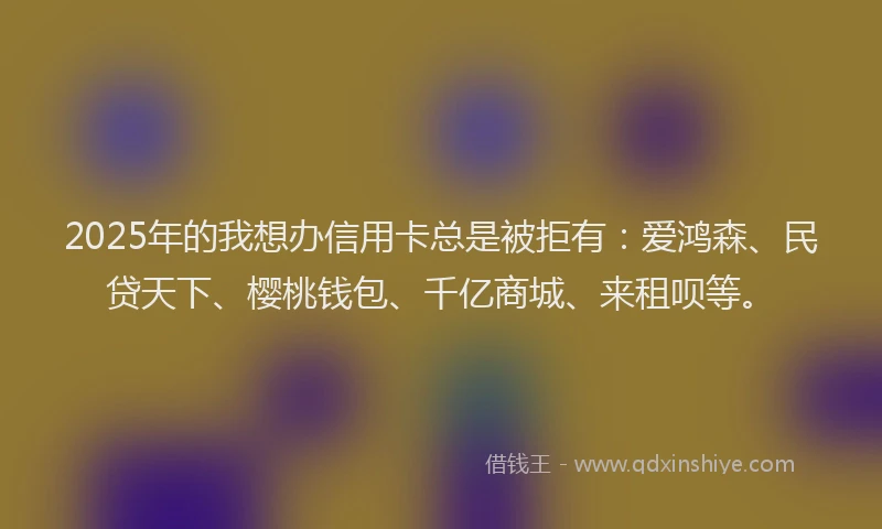 2025年的我想办信用卡总是被拒有：爱鸿森、民贷天下、樱桃钱包、千亿商城、来租呗等。