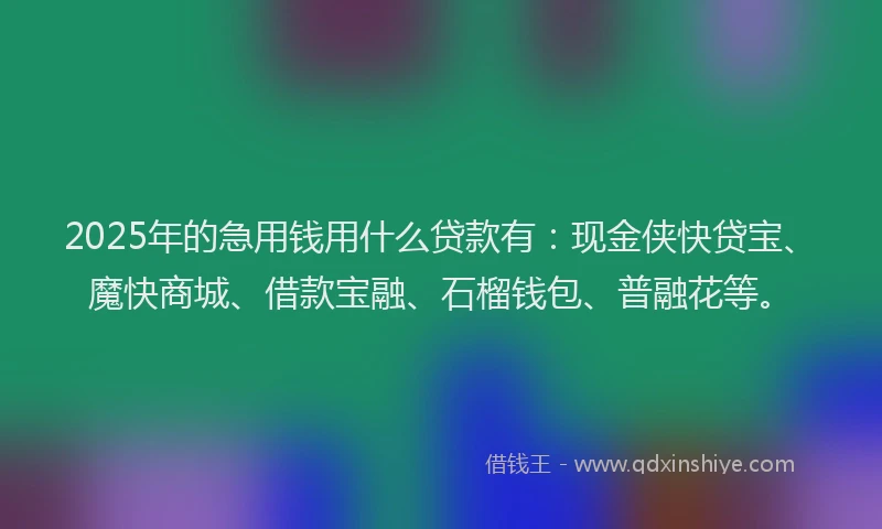 2025年的急用钱用什么贷款有：现金侠快贷宝、魔快商城、借款宝融、石榴钱包、普融花等。