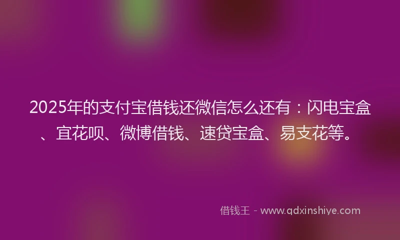 2025年的支付宝借钱还微信怎么还有:闪电宝盒、宜花呗、微博借钱、速贷宝盒、易支花等。