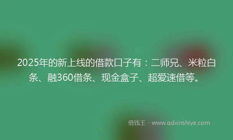 2025年的新上线的借款口子有：二师兄、米粒白条、融360借条、现金盒子、超爱速借等。