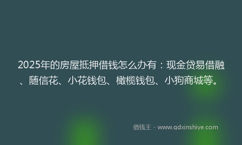 2025年的房屋抵押借钱怎么办有：现金贷易借融、随信花、小花钱包、橄榄钱包、小狗商城等。