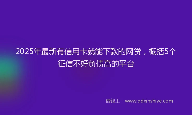 2025年最新有信用卡就能下款的网贷，概括5个征信不好负债高的平台