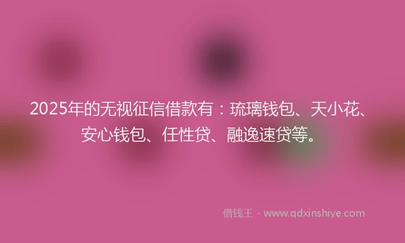 2025年的无视征信借款有：琉璃钱包、天小花、安心钱包、任性贷、融逸速贷等。