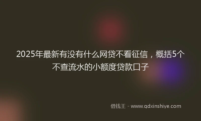 2025年最新有没有什么网贷不看征信，概括5个不查流水的小额度贷款口子