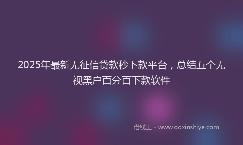 2025年最新无征信贷款秒下款平台，总结五个无视黑户百分百下款软件