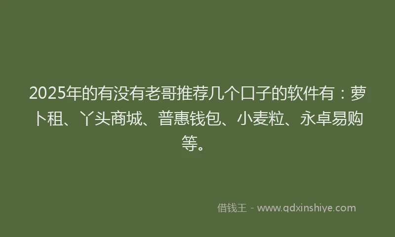 2025年的有没有老哥推荐几个口子的软件有：萝卜租、丫头商城、普惠钱包、小麦粒、永卓易购等。