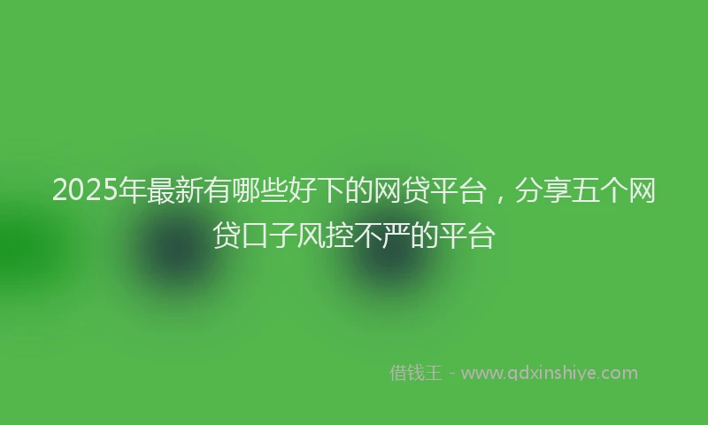 2025年最新有哪些好下的网贷平台，分享五个网贷口子风控不严的平台