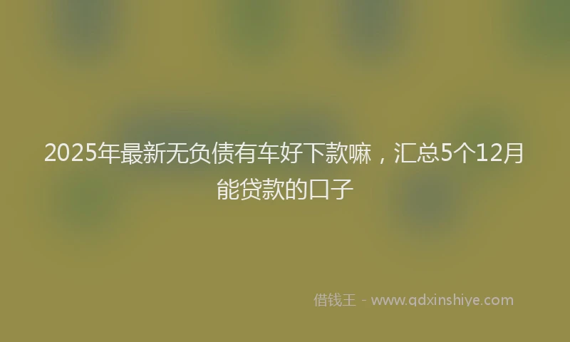 2025年最新无负债有车好下款嘛，汇总5个12月能贷款的口子