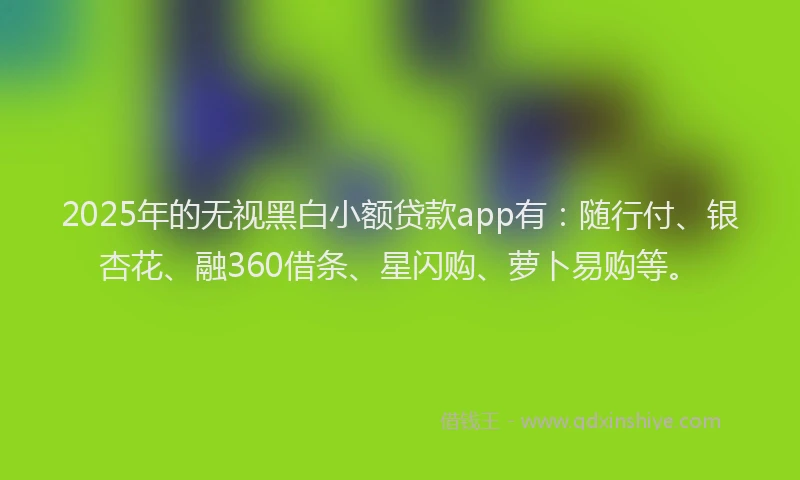 2025年的无视黑白小额贷款app有：随行付、银杏花、融360借条、星闪购、萝卜易购等。