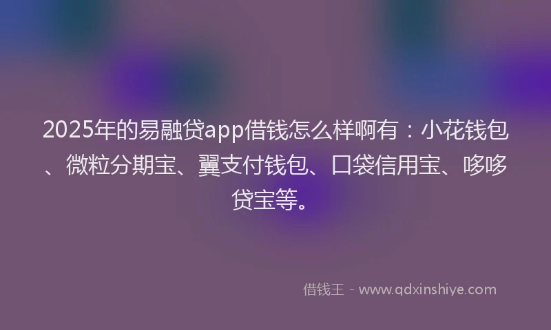 2025年的易融贷app借钱怎么样啊有：小花钱包、微粒分期宝、翼支付钱包、口袋信用宝、哆哆贷宝等。