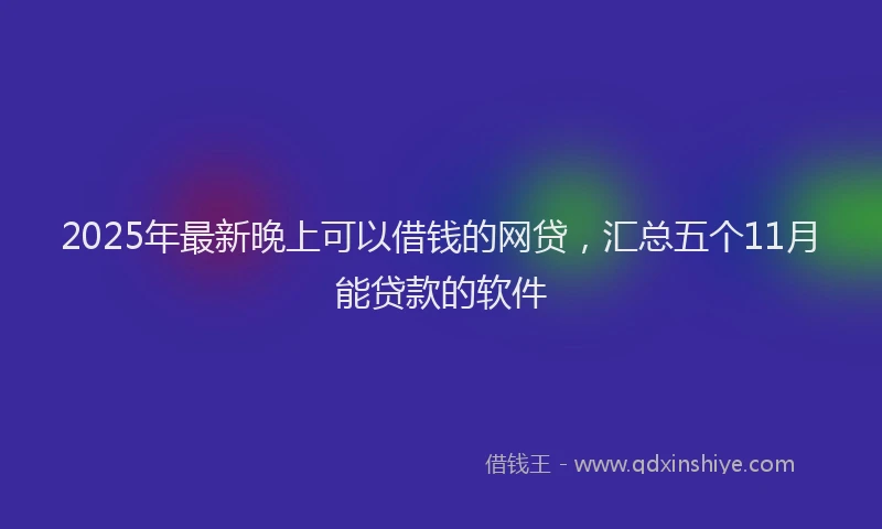 2025年最新晚上可以借钱的网贷，汇总五个11月能贷款的软件