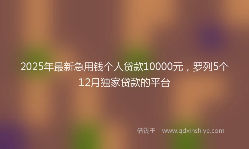 2025年最新急用钱个人贷款10000元，罗列5个12月独家贷款的平台