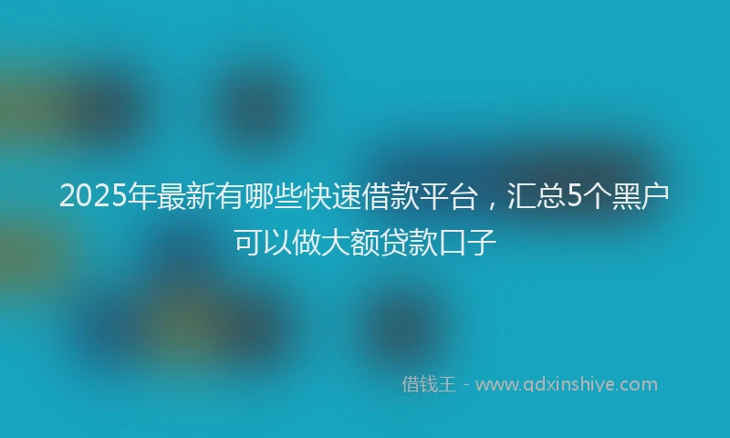 2025年最新有哪些快速借款平台，汇总5个黑户可以做大额贷款口子