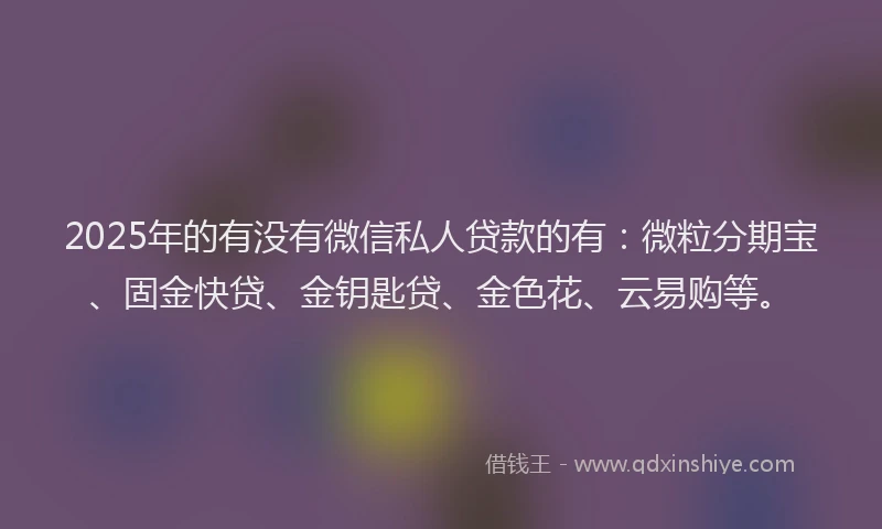 2025年的有没有微信私人贷款的有：微粒分期宝、固金快贷、金钥匙贷、金色花、云易购等。