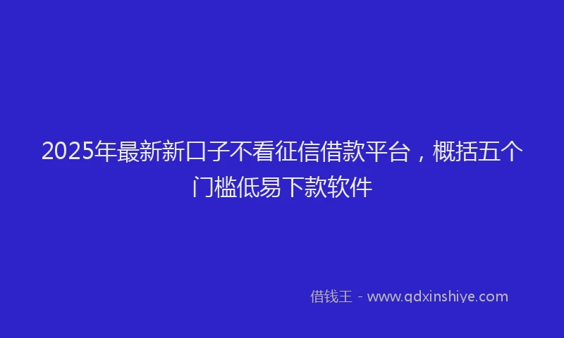 2025年最新新口子不看征信借款平台，概括五个门槛低易下款软件