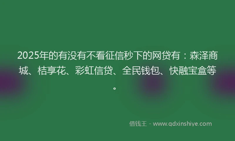 2025年的有没有不看征信秒下的网贷有：森泽商城、桔享花、彩虹信贷、全民钱包、快融宝盒等。