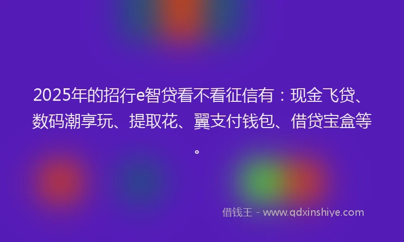 2025年的招行e智贷看不看征信有：现金飞贷、数码潮享玩、提取花、翼支付钱包、借贷宝盒等。