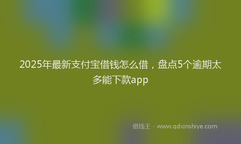 2025年最新支付宝借钱怎么借，盘点5个逾期太多能下款app