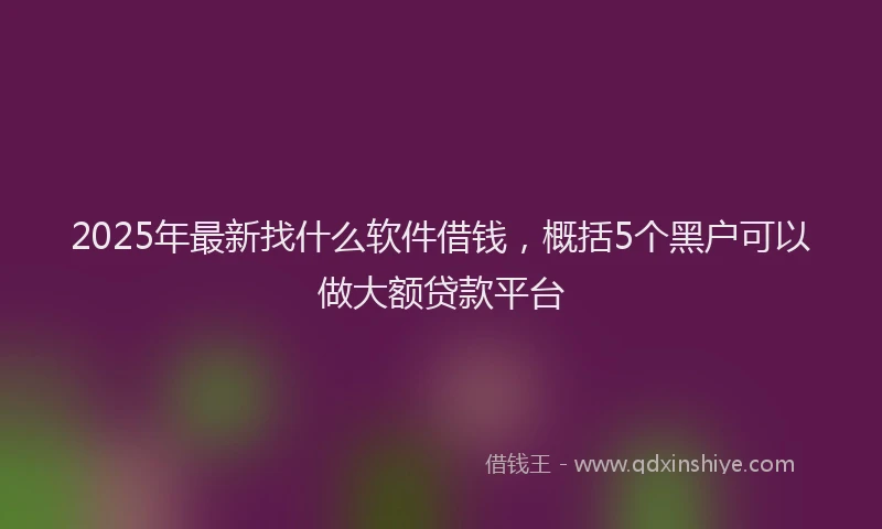 2025年最新找什么软件借钱，概括5个黑户可以做大额贷款平台