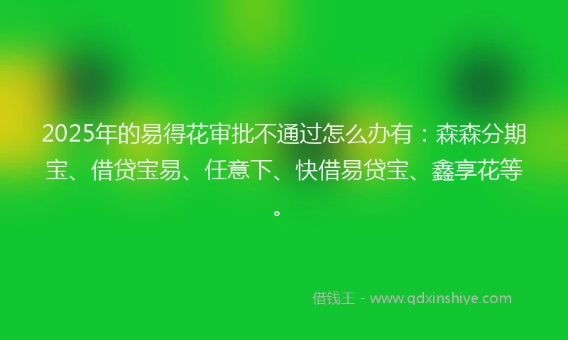 2025年的易得花审批不通过怎么办有：森森分期宝、借贷宝易、任意下、快借易贷宝、鑫享花等。