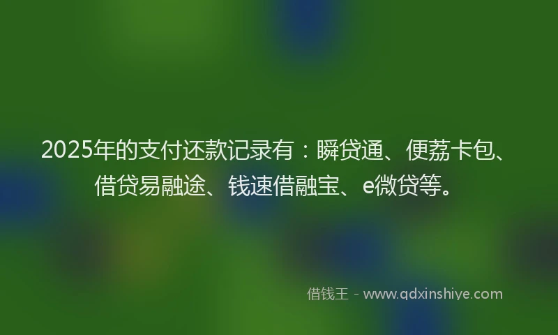 2025年的支付还款记录有：瞬贷通、便荔卡包、借贷易融途、钱速借融宝、e微贷等。
