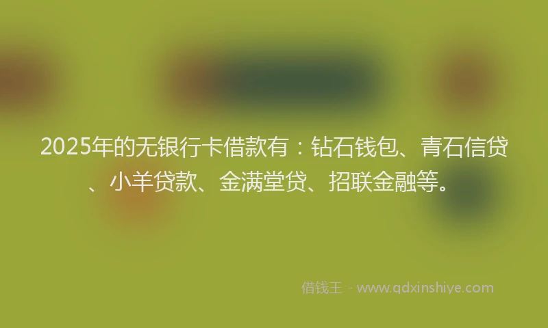 2025年的无银行卡借款有：钻石钱包、青石信贷、小羊贷款、金满堂贷、招联金融等。