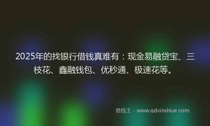 2025年的找银行借钱真难有：现金易融贷宝、三枝花、鑫融钱包、优秒通、极速花等。