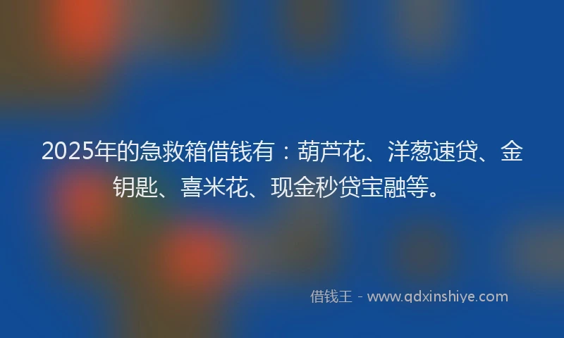 2025年的急救箱借钱有：葫芦花、洋葱速贷、金钥匙、喜米花、现金秒贷宝融等。