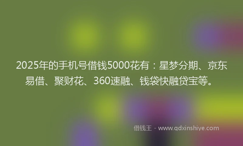 2025年的手机号借钱5000花有：星梦分期、京东易借、聚财花、360速融、钱袋快融贷宝等。