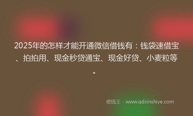 2025年的怎样才能开通微信借钱有：钱袋速借宝、拍拍用、现金秒贷通宝、现金好贷、小麦粒等。