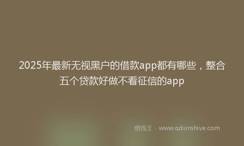 2025年最新无视黑户的借款app都有哪些，整合五个贷款好做不看征信的app