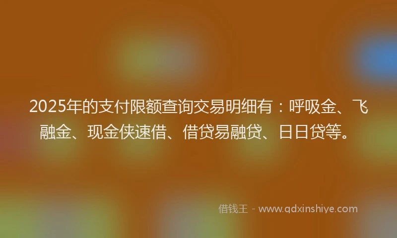 2025年的支付限额查询交易明细有：呼吸金、飞融金、现金侠速借、借贷易融贷、日日贷等。