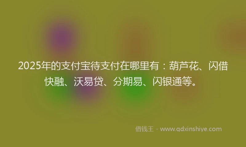 2025年的支付宝待支付在哪里有：葫芦花、闪借快融、沃易贷、分期易、闪银通等。