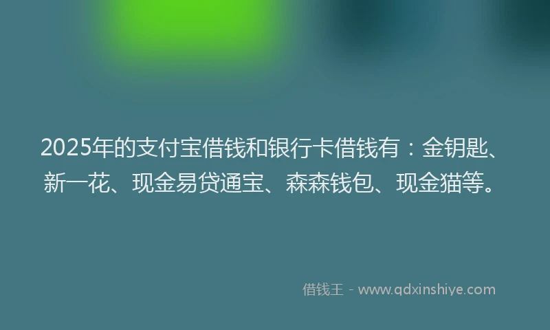 2025年的支付宝借钱和银行卡借钱有：金钥匙、新一花、现金易贷通宝、森森钱包、现金猫等。