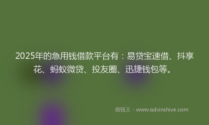 2025年的急用钱借款平台有：易贷宝速借、抖享花、蚂蚁微贷、投友圈、迅捷钱包等。