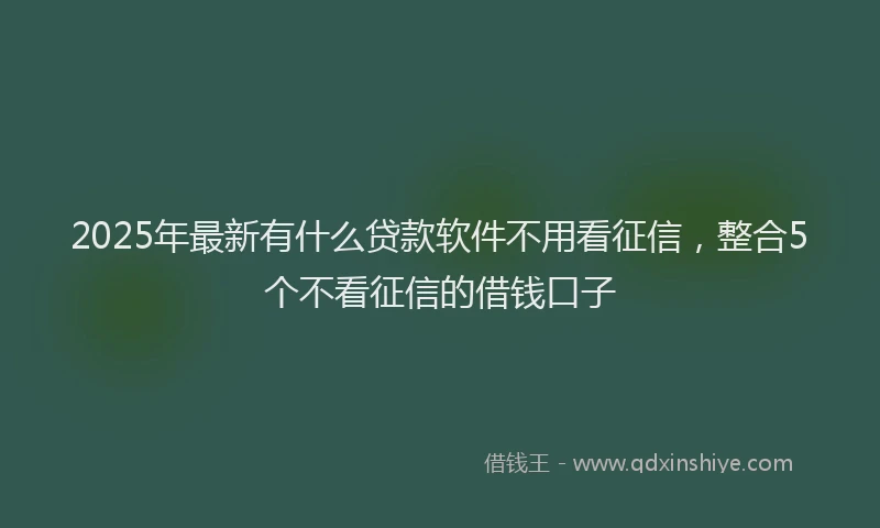 2025年最新有什么贷款软件不用看征信，整合5个不看征信的借钱口子