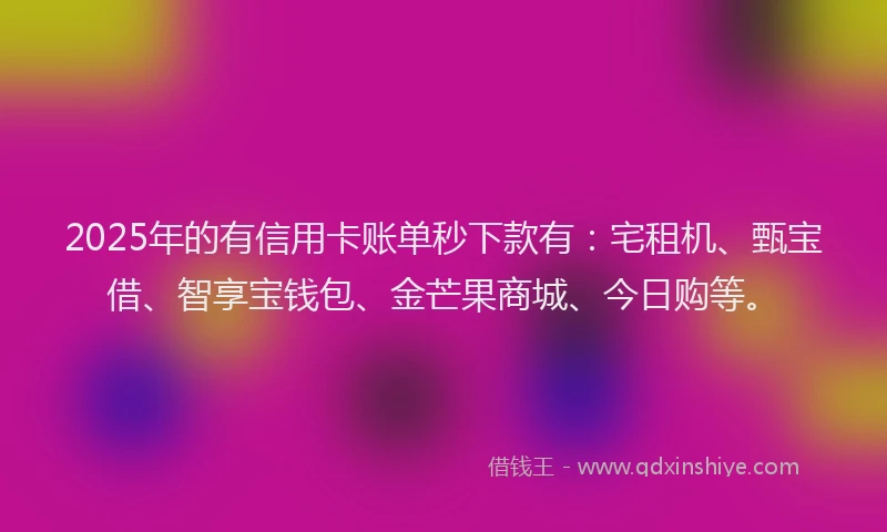 2025年的有信用卡账单秒下款有：宅租机、甄宝借、智享宝钱包、金芒果商城、今日购等。
