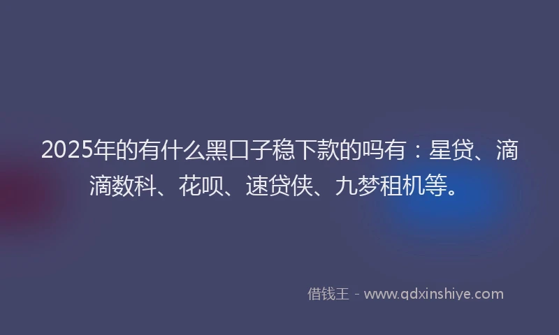 2025年的有什么黑口子稳下款的吗有：星贷、滴滴数科、花呗、速贷侠、九梦租机等。