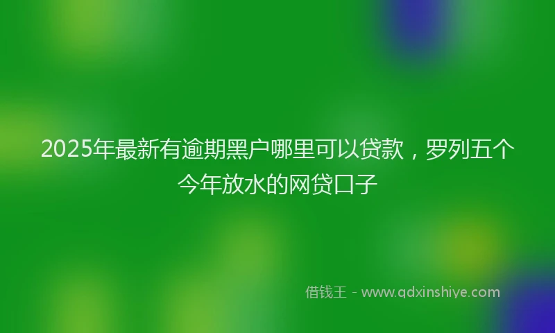 2025年最新有逾期黑户哪里可以贷款，罗列五个今年放水的网贷口子