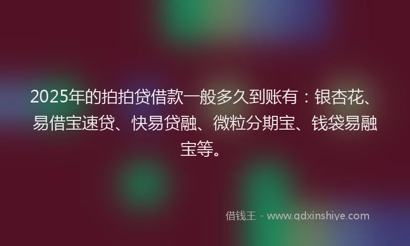2025年的拍拍贷借款一般多久到账有：银杏花、易借宝速贷、快易贷融、微粒分期宝、钱袋易融宝等。