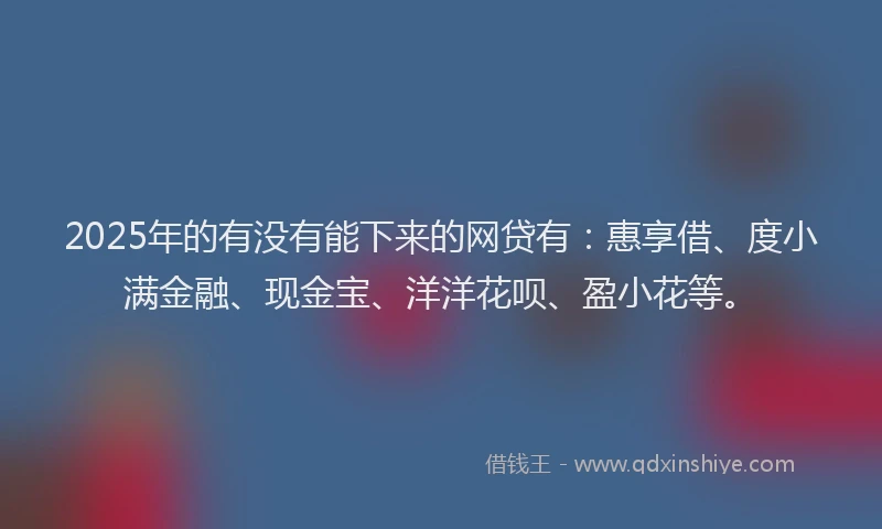 2025年的有没有能下来的网贷有：惠享借、度小满金融、现金宝、洋洋花呗、盈小花等。