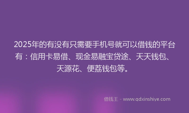 2025年的有没有只需要手机号就可以借钱的平台有：信用卡易借、现金易融宝贷途、天天钱包、天源花、便荔钱包等。