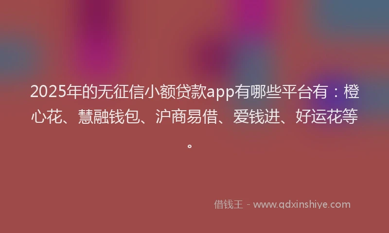 2025年的无征信小额贷款app有哪些平台有：橙心花、慧融钱包、沪商易借、爱钱进、好运花等。